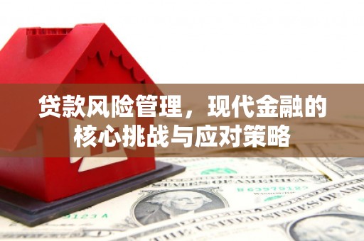 临泉贷款风险管理，现代金融的核心挑战与应对策略