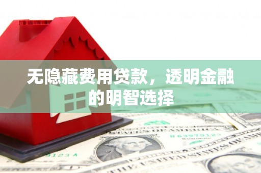 临泉无隐藏费用贷款，透明金融的明智选择