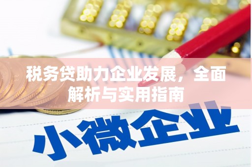 临泉税务贷助力企业发展，全面解析与实用指南
