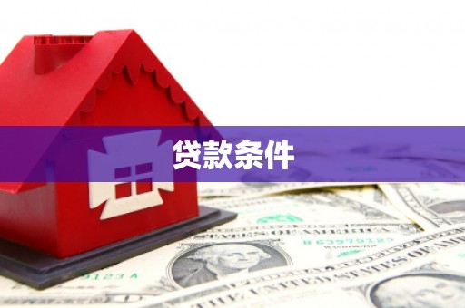 临泉贷款条件