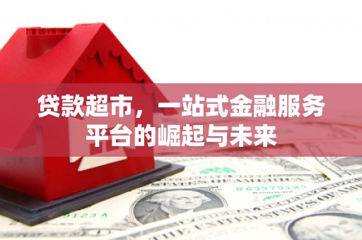临泉贷款超市，一站式金融服务平台的崛起与未来