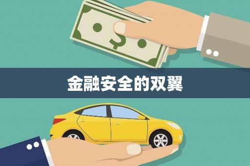 临泉金融安全的双翼