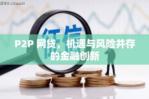 临泉P2P 网贷，机遇与风险并存的金融创新