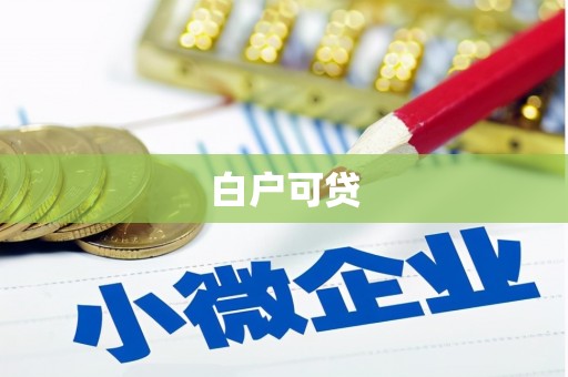 临泉白户可贷