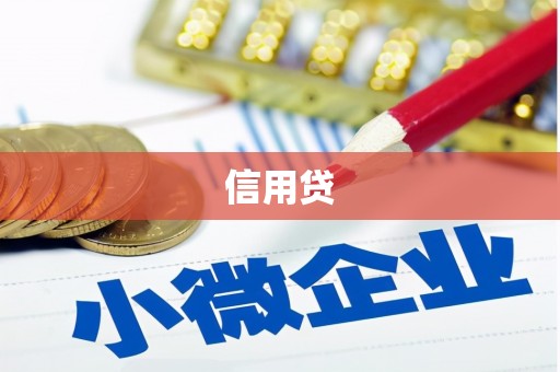 临泉信用贷
