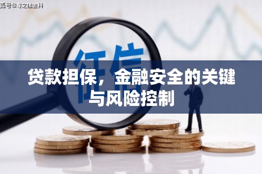 临泉贷款担保，金融安全的关键与风险控制