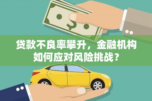 临泉贷款不良率攀升，金融机构如何应对风险挑战？