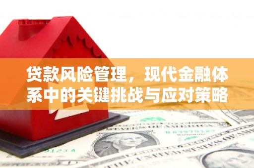 临泉贷款风险管理，现代金融体系中的关键挑战与应对策略