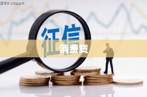 临泉消费贷