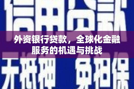 临泉外资银行贷款，全球化金融服务的机遇与挑战