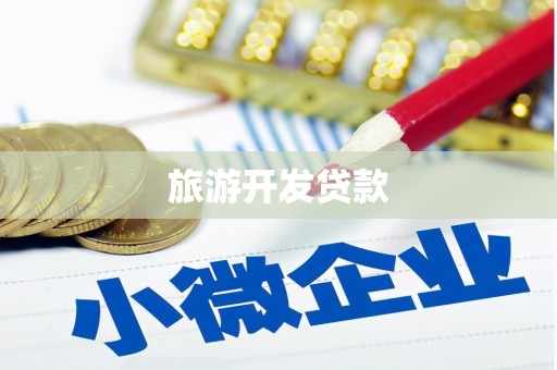 临泉旅游开发贷款