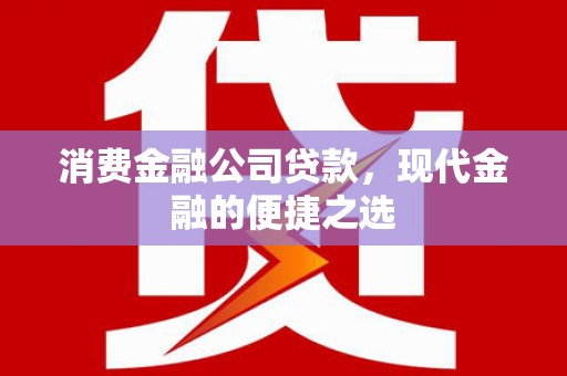 临泉消费金融公司贷款，现代金融的便捷之选