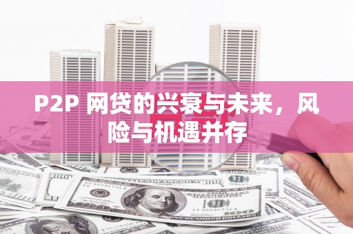 临泉P2P 网贷的兴衰与未来，风险与机遇并存