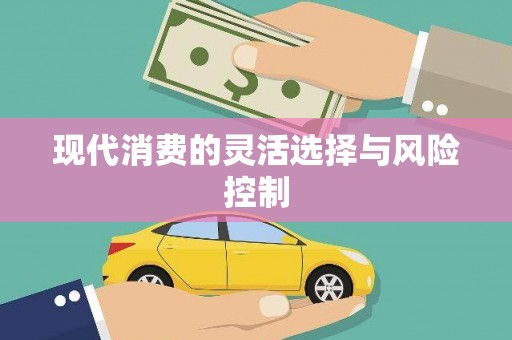 临泉现代消费的灵活选择与风险控制