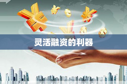 临泉灵活融资的利器