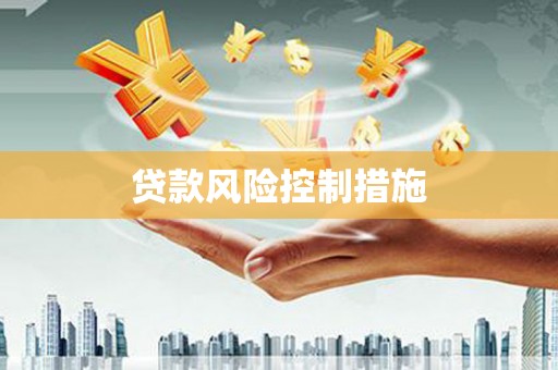 临泉贷款风险控制措施