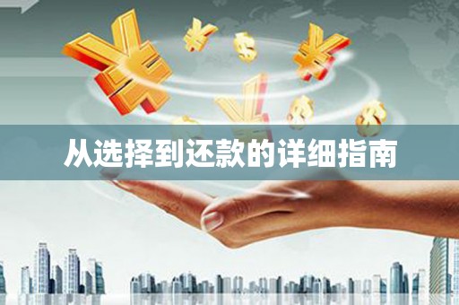 临泉从选择到还款的详细指南