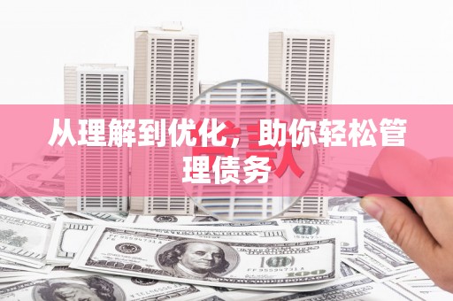 临泉从理解到优化，助你轻松管理债务