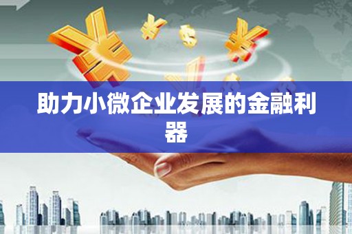 临泉助力小微企业发展的金融利器