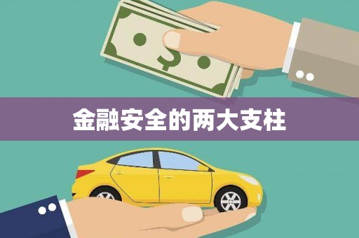 临泉金融安全的两大支柱