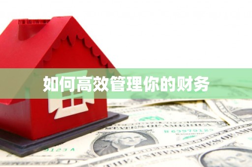 临泉如何高效管理你的财务